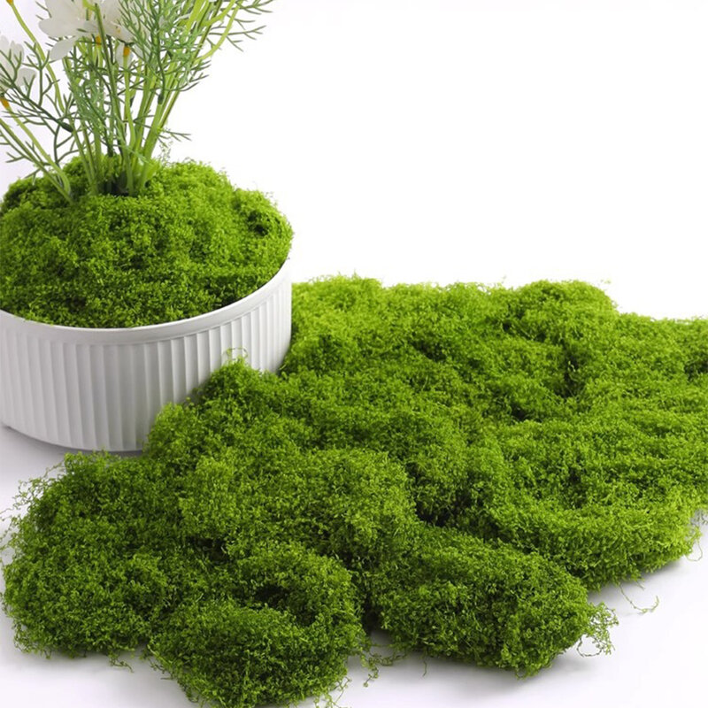 Eternal Life Moss kerajinan rumput DIY tanaman hijau buatan dekorasi taman ruang rumah lanskap Mini rumput palsu 20/40/100g