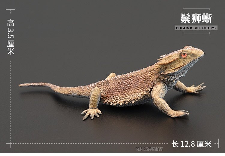 Modelo de animal salvaje para niños, accesorios de regalo, León, lagarto