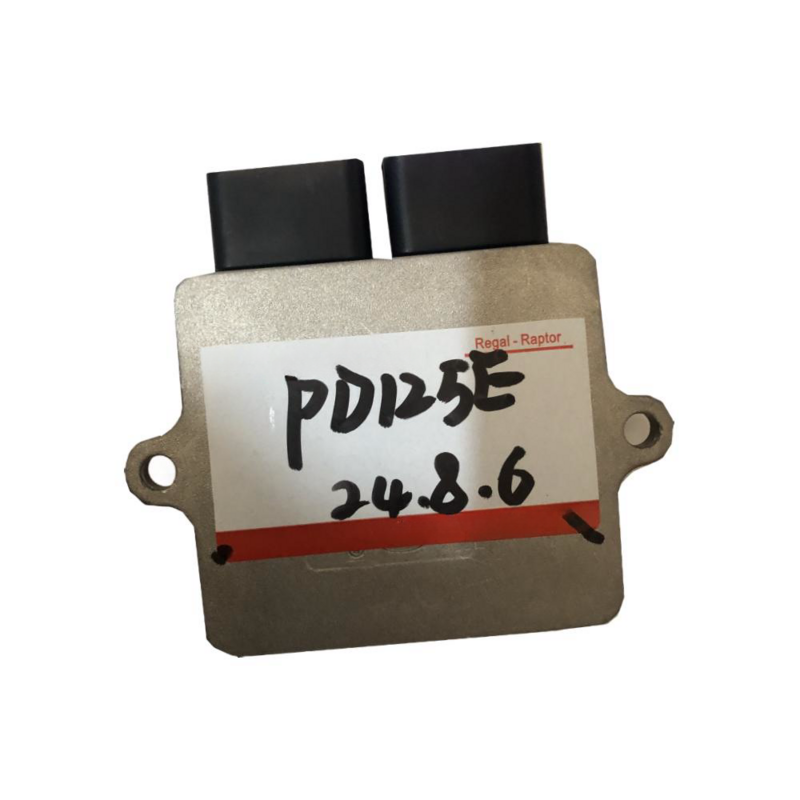 ECU Leonart Pilder 125  PD125E Remove Speed limit  Non-restricted version Etc  REGAL-RAPTOR Control Board