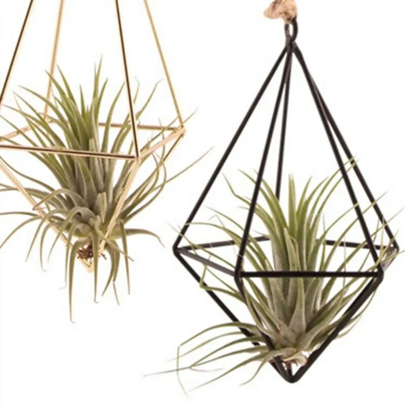 Ventilated Air Plant Holder Geometric Glass Terrarium Propagation Station with Iron Stand for Home Office Decor Plant for Air