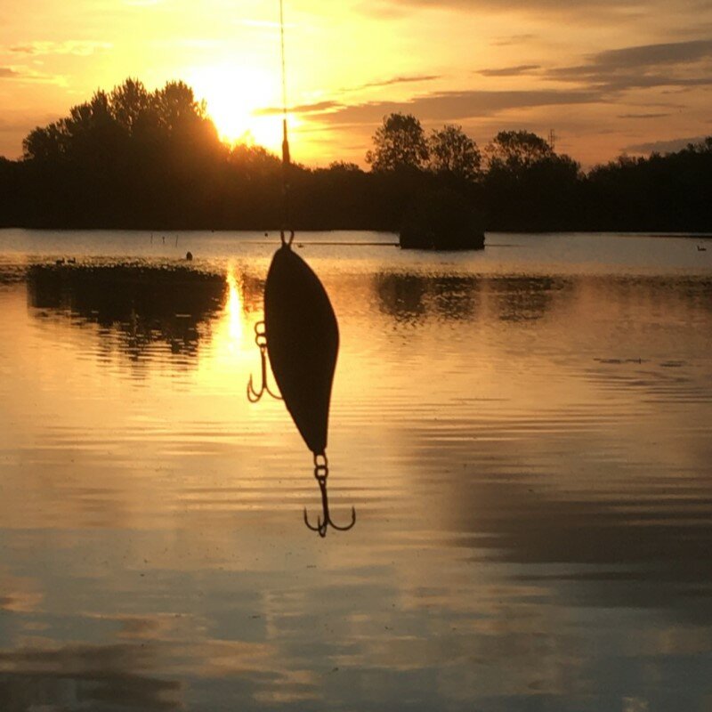 Fangbait – leurres de pêche au brochet, glisseur, hochet wobbler, coulant lent, avec son fort, gamme complète, leurre maskinongé, brochet, 6cm