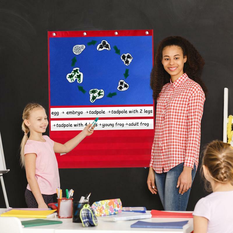 Tabla de bolsillo de horario diaria, gráfico de bolsillo azul con 15 tarjetas de borrado en seco y 50 pegatinas de puntos, gráfico de bolsillo para aula azul y rojo