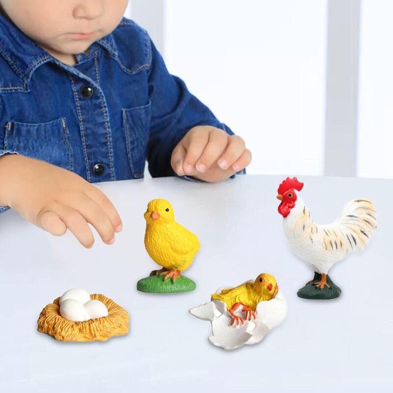 Gallo ciclo di vita Set ciclo di vita Figurine di animali biologia educazione precoce animali Figurine giocattolo per bambini bambini ragazzo bambini piccoli