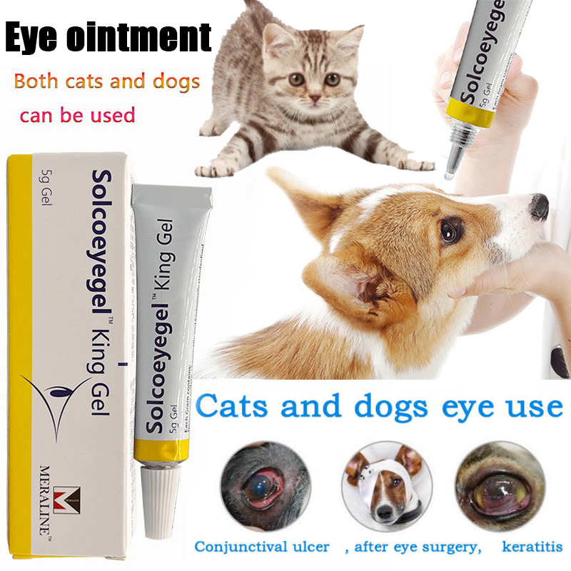 5 جرام القط الكلب العين مرهم الكبار القط الشباب القط العين التهاب الملتحمة الدمعية الغدة التهاب قرحة المضادة للالتهابات العين مرهم