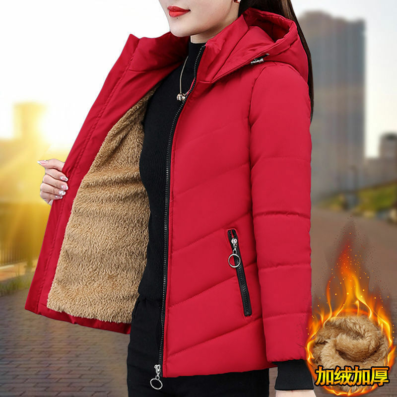 Jaqueta de algodão de caxemira cordeiro jaqueta de algodão grosso casaco para baixo jaqueta de algodão feminino curto inverno 2022 novo solto