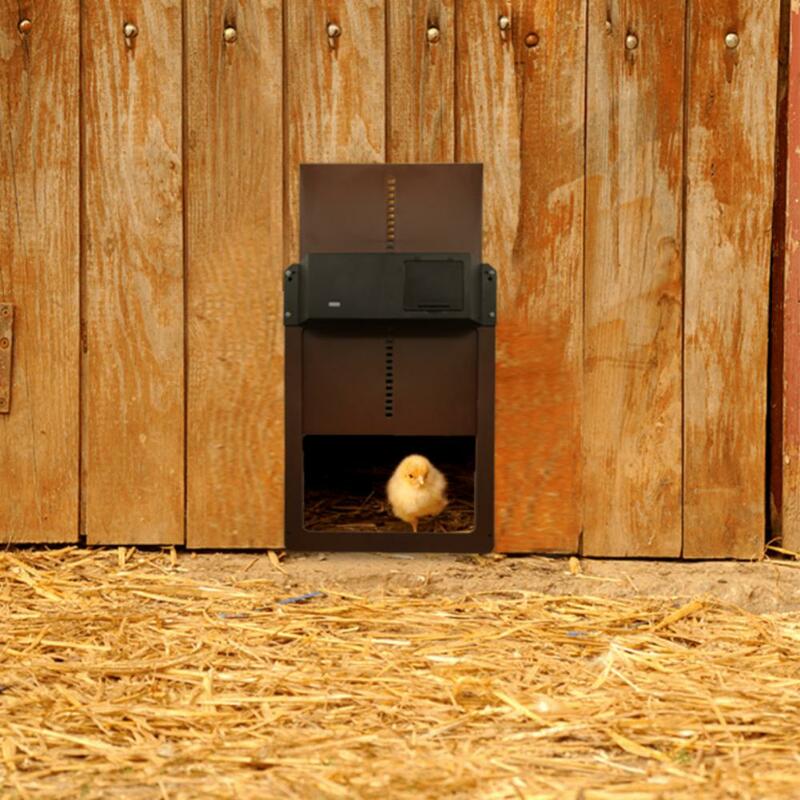 Sensor de luz automático para puerta de gallinero, puerta práctica de alta calidad para jaula de pato, decoración de granja