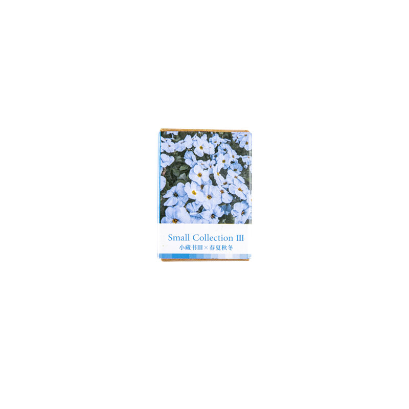 100 pz primavera estate autunno inverno carta Kraft Mini biglietto di auguri INS flower cartolina lettera busta decorazione LOMO Cards