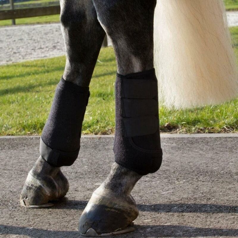 Respirável Cavalo Esporte Botas Set, Leg engrenagem Suporte de Proteção, fácil de usar, durável, colorido, 3 tamanhos, 4pcs