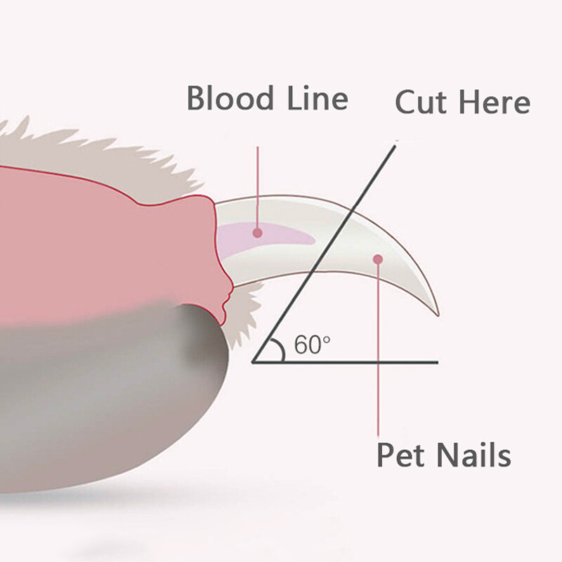 Profesjonalne obcinacz paznokci dla psów z oświetleniem Led Pet Claw nożyczki do strzyżenia sierści dla psów koty małe zwierzęta Paw obcinacz do paznokci artykuły dla zwierząt