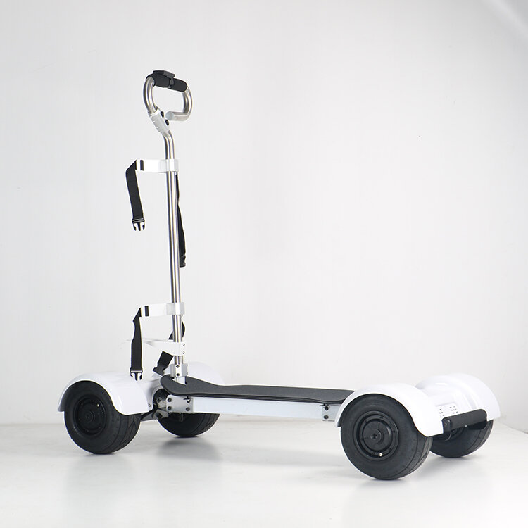 لوح تزلج كهربائي للبالغين ، تصميم جديد ، دراجات بخارية مع 4 عجلات ، 60 فولت ، من من نوع W