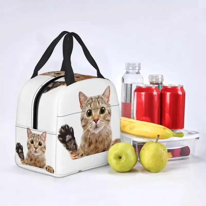 Симпатичная шотландская кошка, подглядывающая сумка для обеда, герметичная Термосумка для пикника, теплое охлаждение, термоконтейнер для обеда для женщин и детей