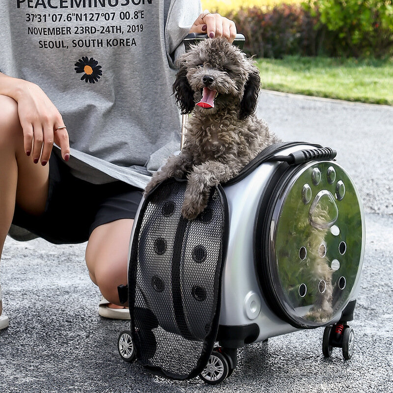 Zaino per cani da compagnia zaino portatile multifunzionale per animali domestici trasparente a doppio scopo
