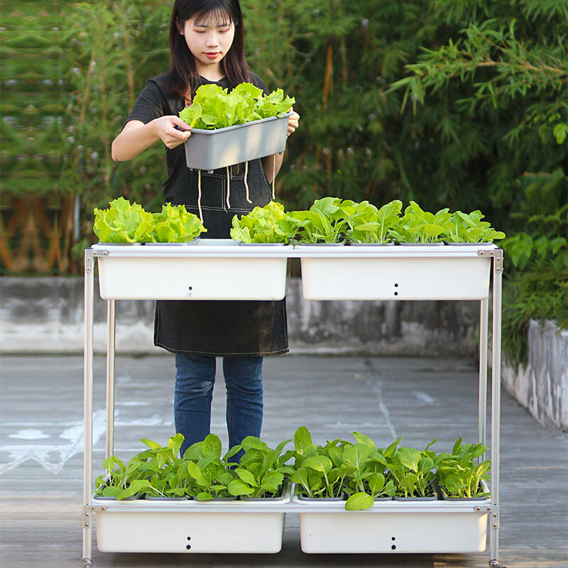 Grande boîte de plantation hydroponique verticale pour balcon, système de culture de jardin avec absorption automatique de l'eau