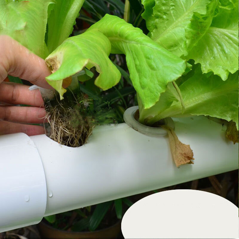 Hydroponics Growing Tunnel 4-tubes 36-Holes Balcony Soilless Cultivation Equipment Smart Greenhouse Vertical Hydroponic Planter