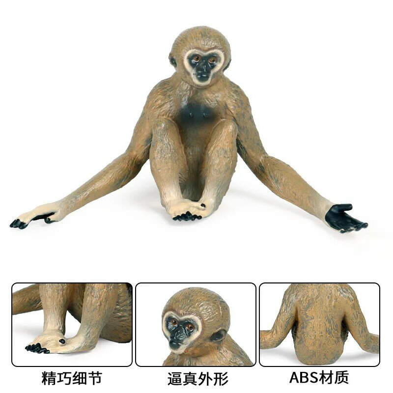 Juguete de modelo de Animal salvaje de simulación sólida, adornos de plástico Gibbon