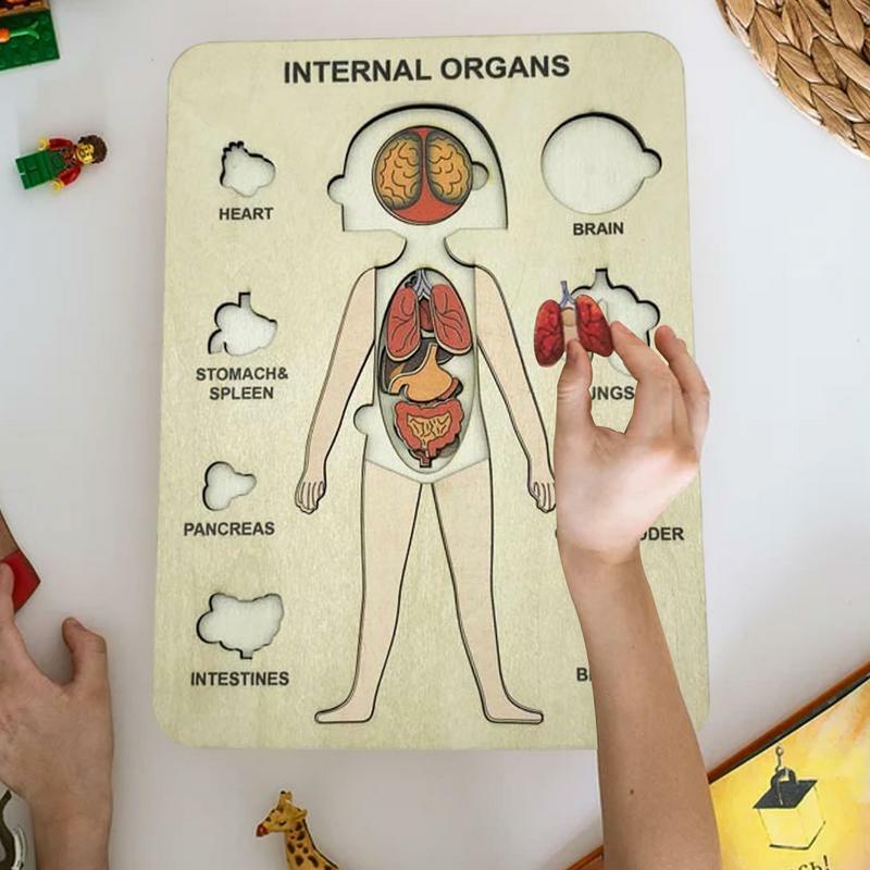 Rompecabezas de cuerpo humano de madera Montessori para niños pequeños, rompecabezas educativo de cuerpo humano, juguetes de rompecabezas de madera, juego de anatomía para niñas