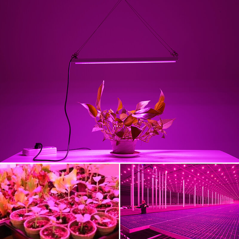1000W oświetlenie LED do uprawy Full Spectrum AC85-265V 80W Phytolamp wodoodporna lampa do uprawy na rośliny doniczkowe szklarnia