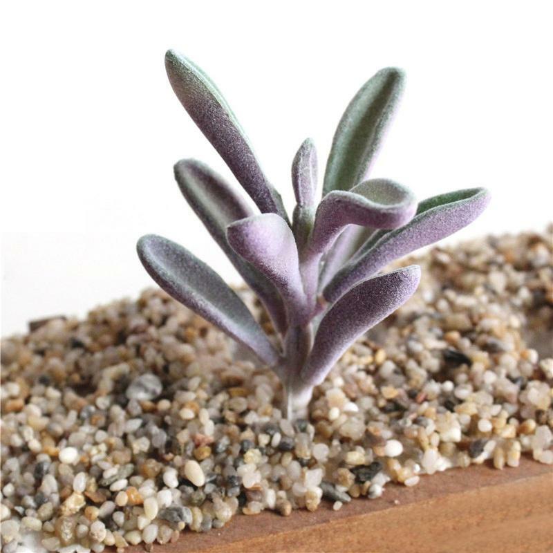 Mini Plantes Succulentes Artificielles Sans Pot, Fausses Plantes Réalistes, Mignonnes, Floquées, Tête