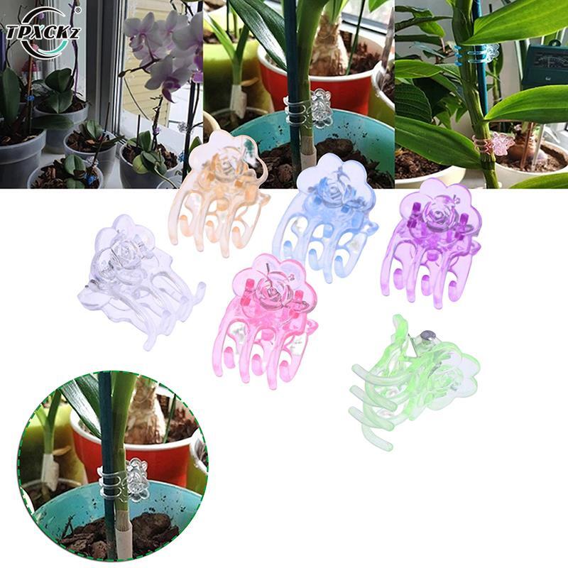 Clips spéciaux en plastique pour orchidées, 60 pièces/paquet, Support de vigne pour plante d'orchidées de jardin