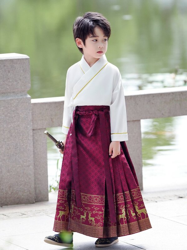 Детский костюм Hanfu с юбкой «лошадиное лицо» в стиле ретро, современный элегантный костюм китайской традиции в восточном стиле для мальчиков, модная одежда для представлений и танцев, косплей