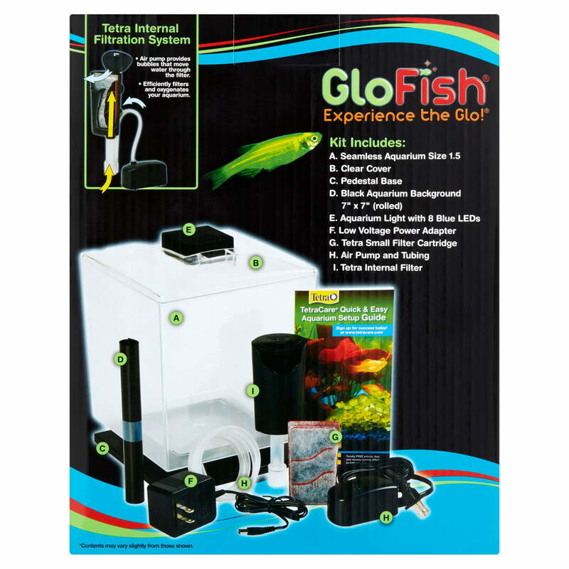 GloFish Betta Glass Aquarium Kit 1.5 galloni, facile installazione e manutenzione, serbatoio di avviamento perfetto