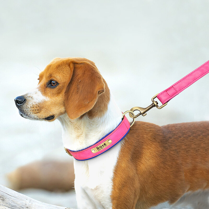 Personalizado couro cão coleira trela conjunto, macio acolchoado couro colar para cães pequenos, médios, grandes, livre gravado placa de identificação