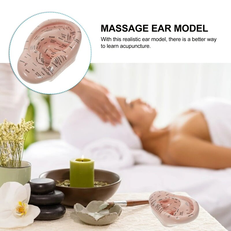 Auriculaire Model Massager Acupoint Leermiddel Onderwijs Massage Masseren Chinese Tools