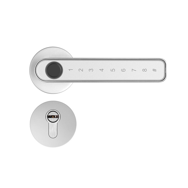 Tuya-Biometric Serial Key Lock, eletrônico, inteligente, TTlock, escola, hotel