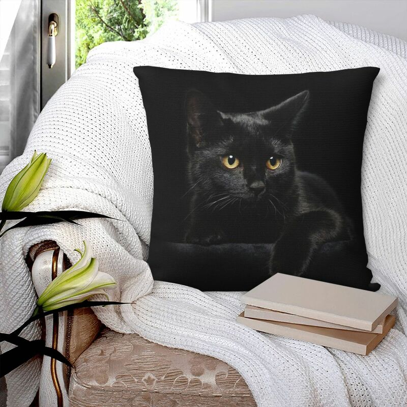 ปลอกหมอนสี่เหลี่ยมลายแมวดำปลอกหมอนอิงผ้าโพลีเอสเตอร์มีซิปสำหรับตกแต่ง Comfort หมอนอิงสำหรับห้องนั่งเล่นที่บ้าน