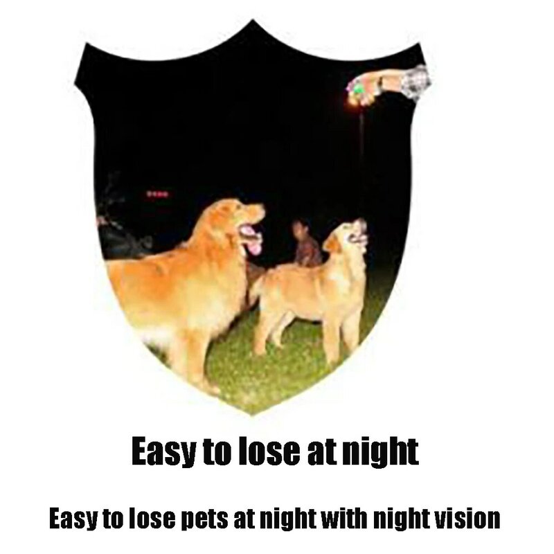 المستجدات الكلب ضوء حلقة ضوء الليل يمنع فقدان مصباح النيون LED تضيء الكلب طوق مضيئة طوق تضيء الحيوانات الأليفة حزام مصباح