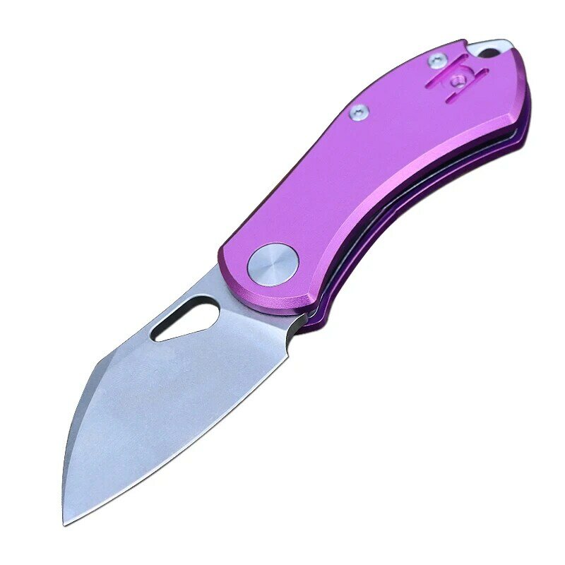 Mini couteau porte-clés pliant portable, couteau d'office extérieur, haute dureté, chasse, camping, pêche, outil de coupe de fruits