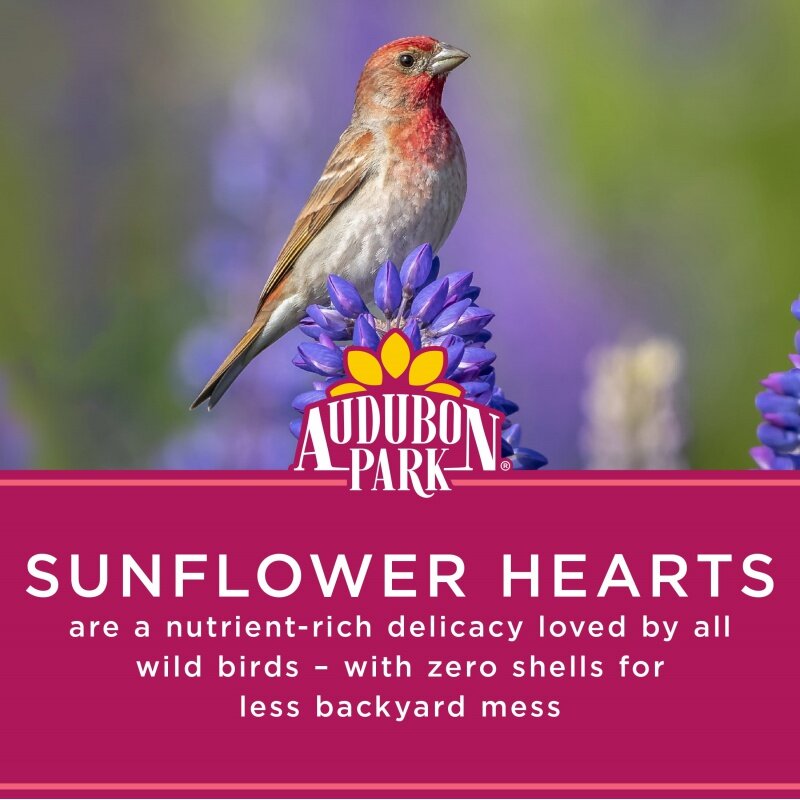 Serca słonecznika Audubon Park dzikie pokarm dla ptaków, suche, 1 liczba w opakowaniu, 15 funtów.