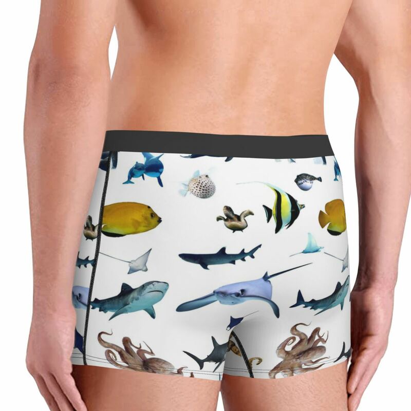 Vari slip Boxer da uomo colorati con pesci tropicali, biancheria intima altamente traspirante, Idea regalo di pantaloncini con stampa 3D di alta qualità