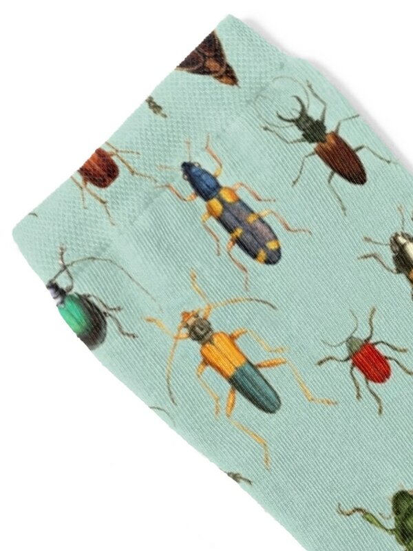앤티크 패턴-딱정벌레와 벌레 양말, 아르헨티나 소년 양말