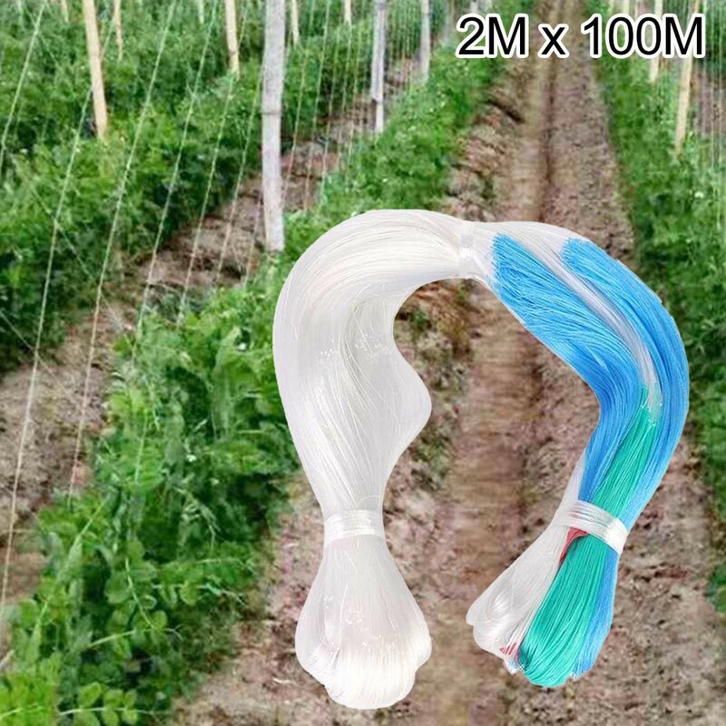 2M X 100M rete da arrampicata in polietilene rete da giardino a traliccio rete da arrampicata supporto per piante vegetali maglia di vite a prova di uccelli