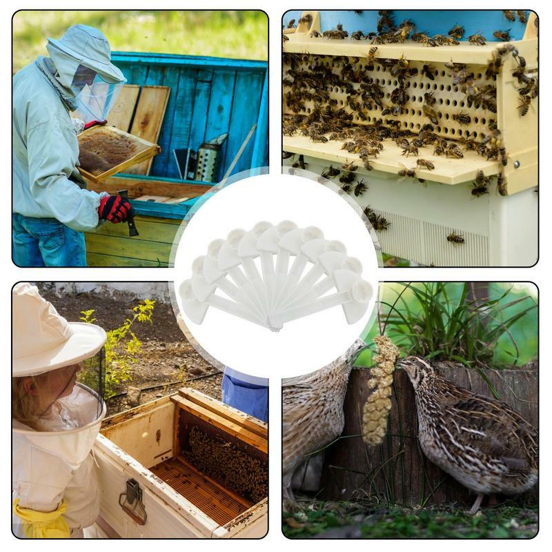 เครื่องป้อนผึ้ง10ชิ้นอุปกรณ์ป้อนน้ำอุปกรณ์ป้อนน้ำอุปกรณ์เลี้ยงผึ้งเครื่องมือการเลี้ยงผึ้ง