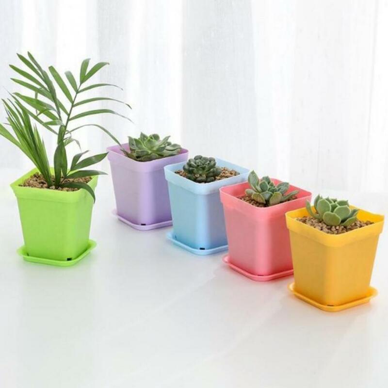 Vaso de plástico quadrado com bandeja, suporte de plantio, plantador de fundo respirável, bonsai, cacto, musgo, flor, suculento, planta, bonsai
