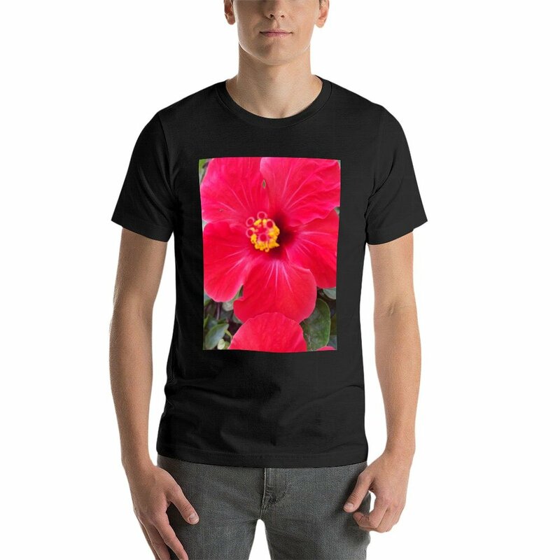 Camiseta de flor del hibisco de verano para hombre, ropa estética, blusa de secado rápido, camisetas divertidas en blanco