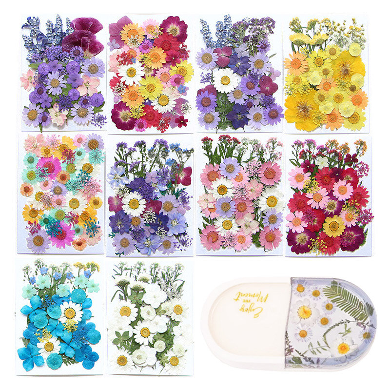 Dried Flowers Real Natural Plant Pressed Flower For Epoxy Resin Filling DIY Silicone Mold Material Package Jewelry Crafts Making