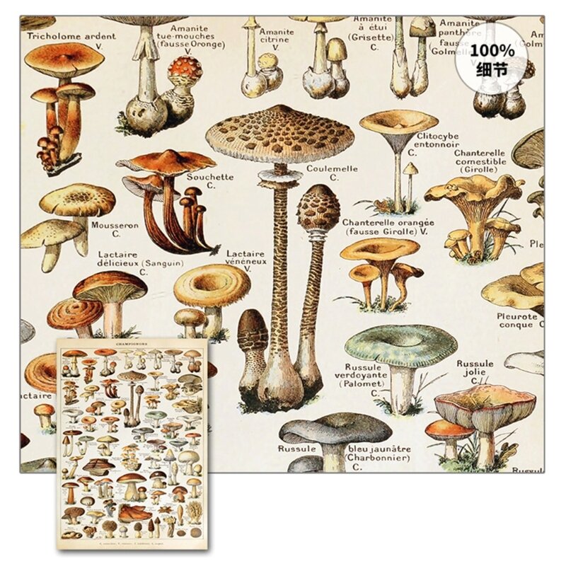 Unframed Paper Mushroom Poster Flower Poster Plant Poster Educational Reference Chart Wall Art Decorations for Classroom