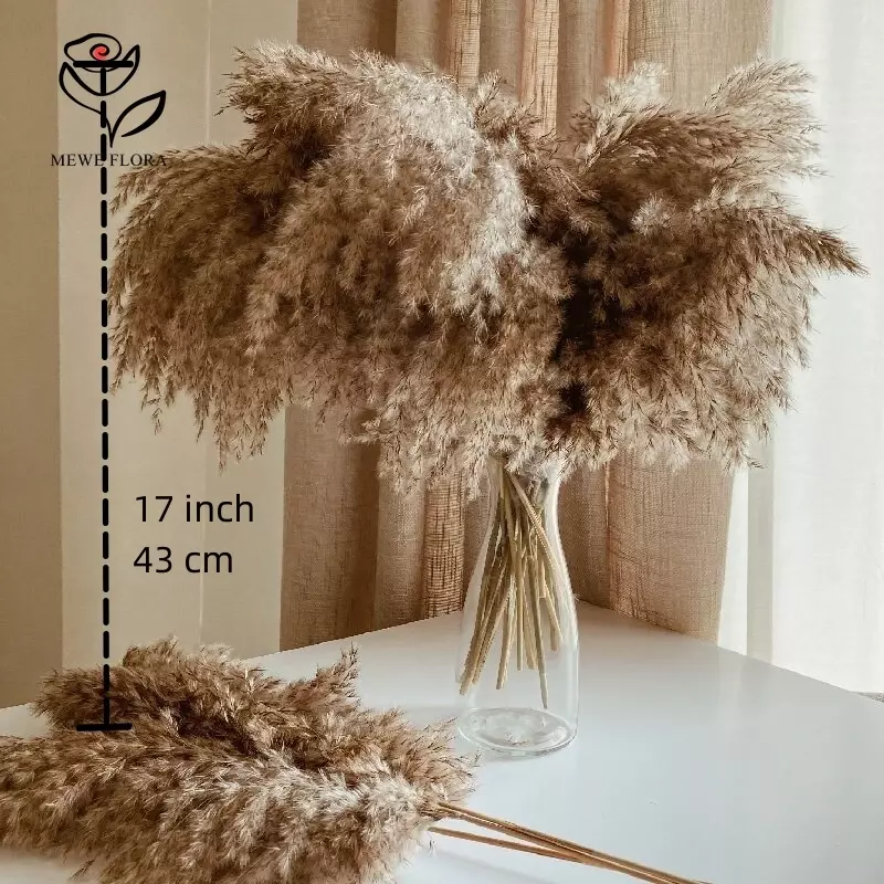 10Pcs Natural Fluffy Pampas Grass Boho Country Home Decor Dried Flowers Whisk Bouquets Christmas Wedding Decoration Arrangement