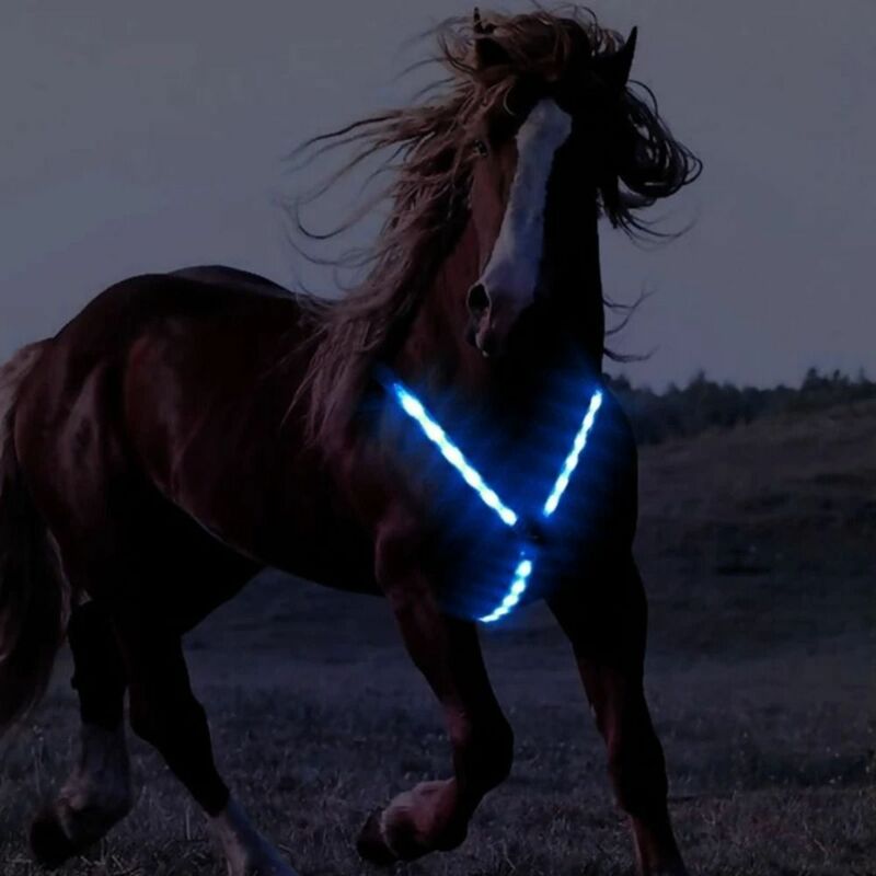 Arnés de caballo LED recargable, Collar de caballo intermitente, Visible por la noche, decoración de placa de pecho, arnés seguro