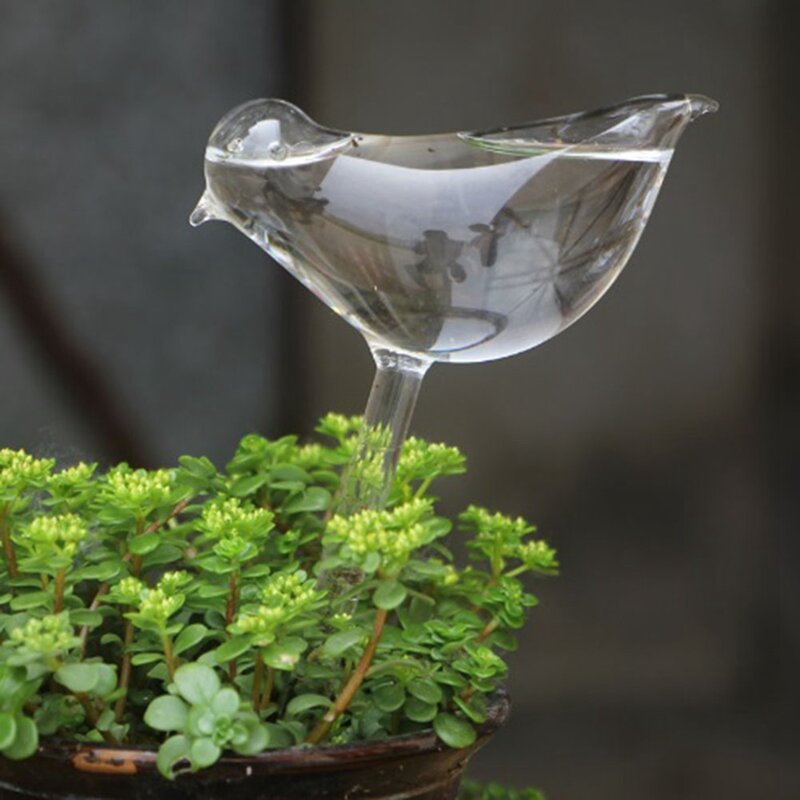 Globo de autorriego para plantas de 6 piezas, Bombilla de agua para plantas de vidrio transparente soplado a mano, para riego de interiores y exteriores