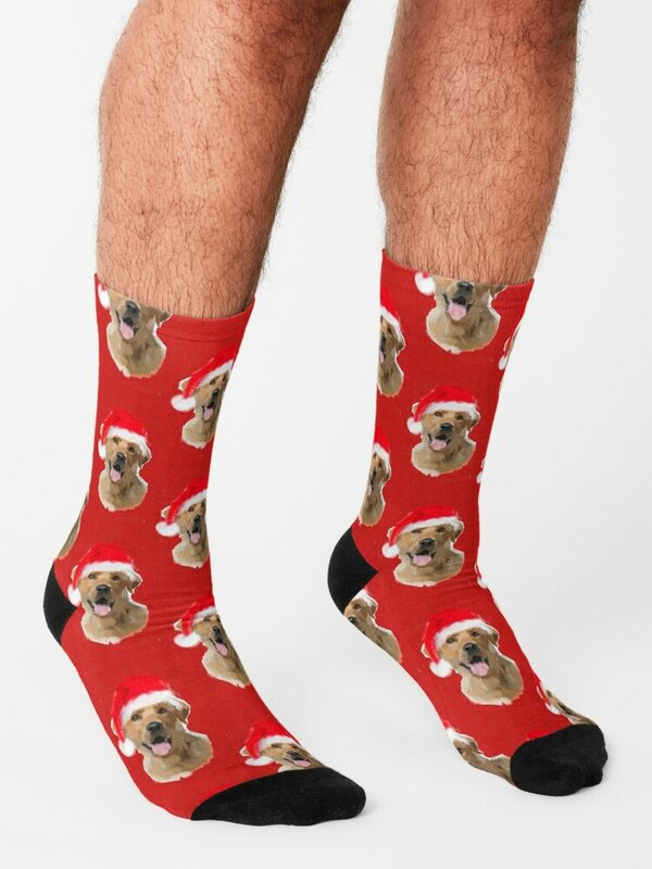 Urlaub/Weihnachten gelb Labrador Retriever digitale Malerei Socken lustiges Geschenk Wanderschuhe Strümpfe Mann Socken männliche Frauen