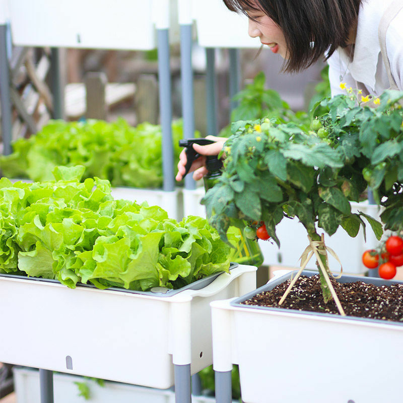 Hidroponic sistema de cultivo interior vegetal plantador caixa jardim torre auto-absorvente bacia vertical plantador equipamentos de jardinagem