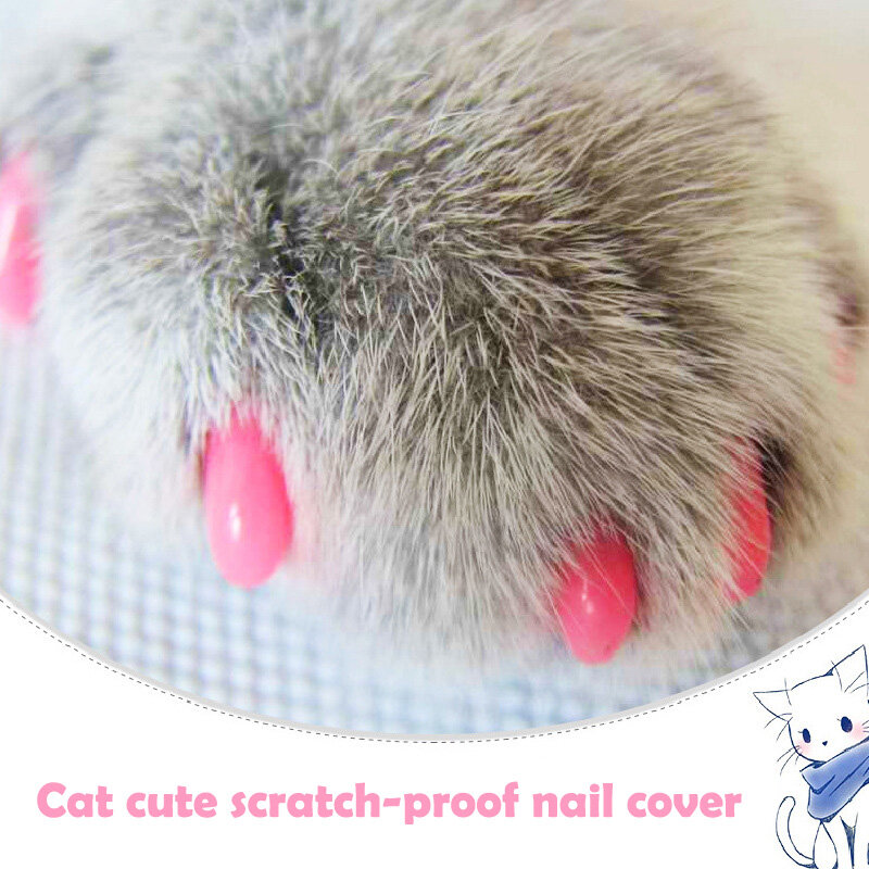 Tapas para uñas de gato, protectores de uñas de silicona para mascotas, 10 colores
