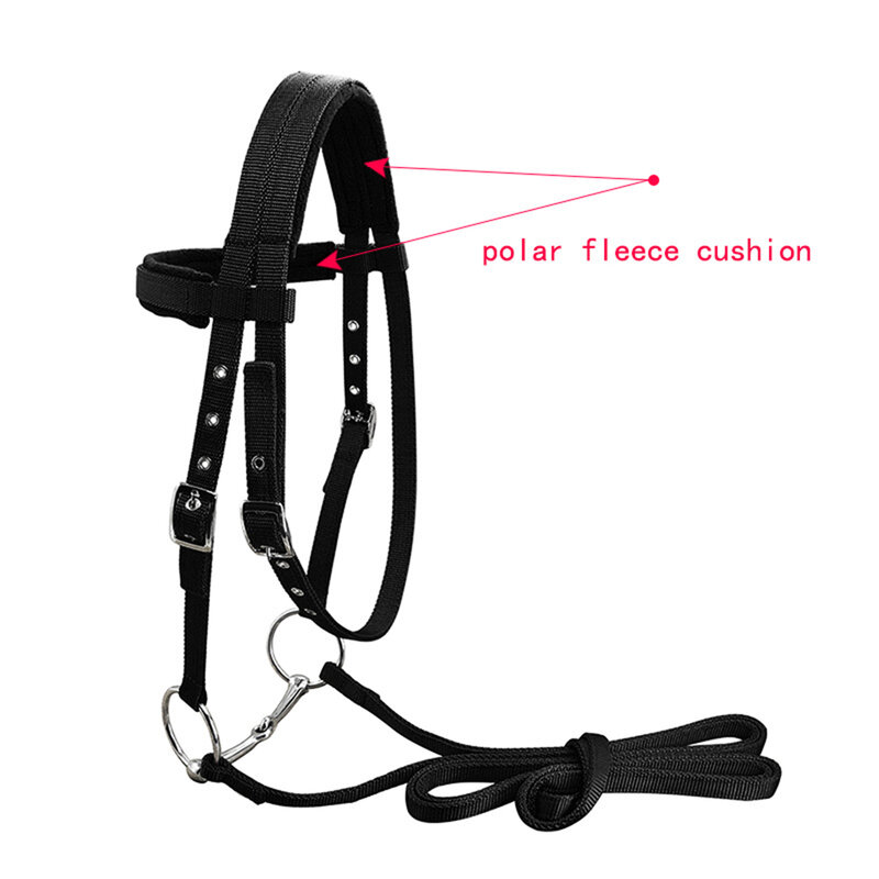 Durable Horse Bridle Horse Rein Headstall 20 Mm PP Webbing Thickened Halter Equestrian Gear For Outdoor Riding Training LT5000