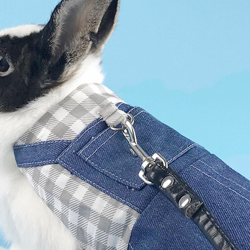 1 set Cool Denim con guinzaglio per imbracatura piccolo animale domestico che indossa forniture per animali domestici leggere vestiti di coniglio giacca di coniglio cappotto di coniglio