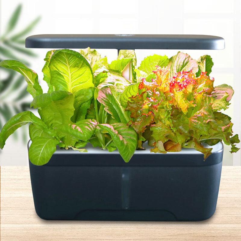 Hydroponics Growing System Smart Greenhouses Plant Planter Pots Hydroponic Systems Indoor Household Vertical Garden Installation