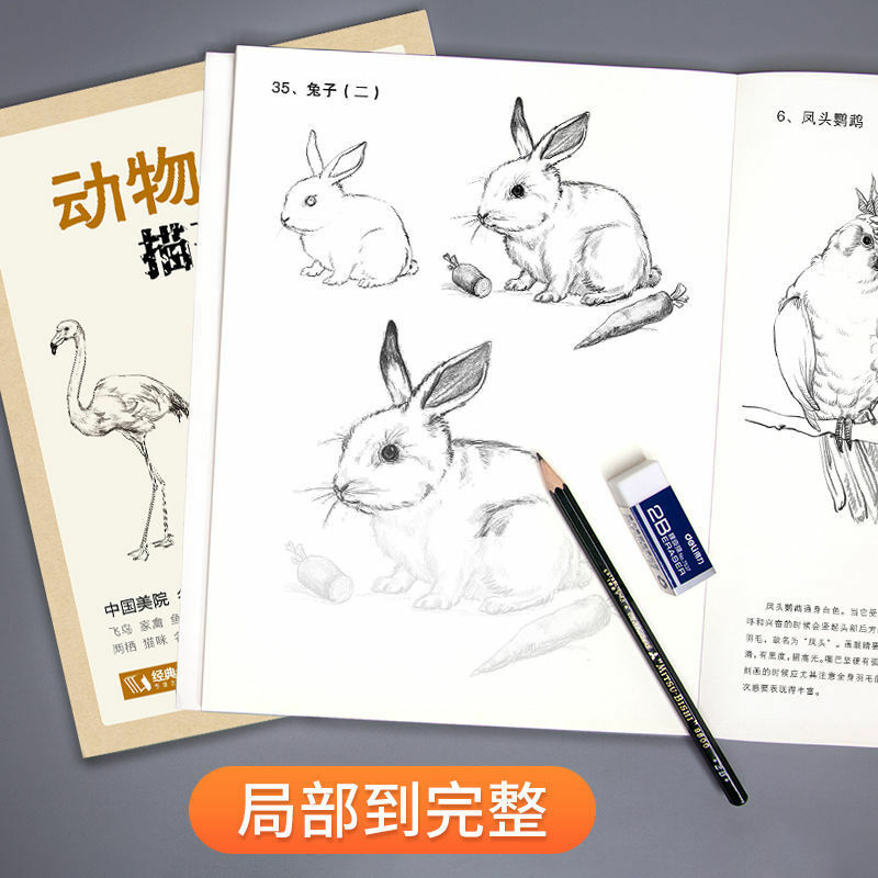 Libro de trazado de bocetos de animales, libro de dibujo de líneas de dibujo de flores, Primer libro Tutorial de autoestudio para novatos